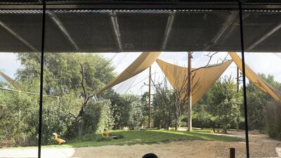 The gallery allows the visitors to have a close look at the birds, without disturbing their tranquility. © Aga Khan Trust for Culture / Cemal Emden (photographer)