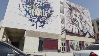 24 murals have been painted on the side of 12 apartment buildings and shops around the Karama shopping complex. Antonie Robertson / The National