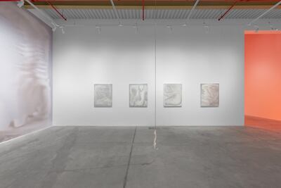 Christiane Peschek’s exhibition is based on field research in the Liwa Desert. Photo: Nika Project Space