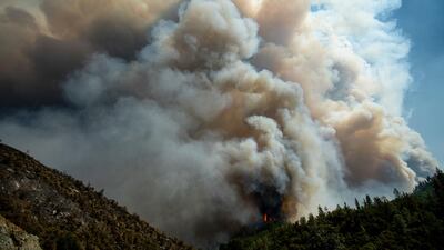 The Carr Fire sends a plume of smoke into the sky above Whiskeytown, California. AP Photo / Noah Berger