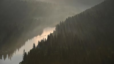 Trillions of dollars and millions of jobs can be unlocked by a 'nature-positive' recovery from the pandemic, according to the World Economic Forum. Reuters