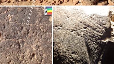 Chemical analysis and the examination of tool marks (pictured) helped to show that the carvings at the camel site were made in the sixth millennium BCE.