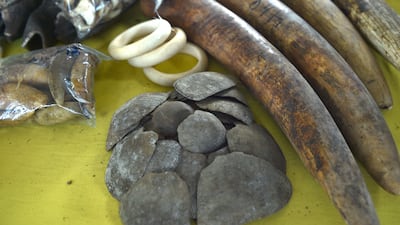 Pangolin scales also formed part of the haul. These are used in traditional Chinese medicine. AFP