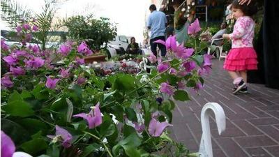 Shoppers browse the Fresh Flowers shop in Al Hudaiba Street, better known as Plant Street, in Dubai's Satwa area. Pawan Singh / The National