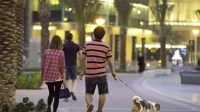 Pet owners are unhappy at the clampdown on walking their dogs at the Dubai Marina promenade. Property developer Emaar has posted signs banning dogs on the Marina Walk, leaving owners with few options when it comes to exercising their pets. Jaime Puebla / The National