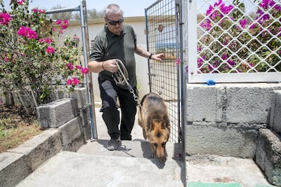 Neil Anderson, a dog trainer who runs boarding kennels in Ras Al Khaimah, said the decree had potential to tackle a challenging issue. Antonie Robertson / The National