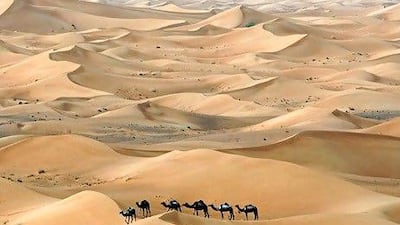 Life in the desert can be compared to shifting sands as the daily grind depends on where the wind blows. Jeff Topping / The National