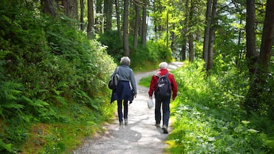 A study has confirmed that frail elderly people are much more likely to develop dementia than their healthy counterparts. Photo: Rosmarie Wirz