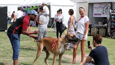 A man takes photos of a dog at the Abu Dhabi Pet Festival. Pawan Singh / The National