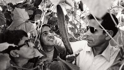 In 1966, Sheikh Zayed sent three Abu Dhabi students - Hamad Al Mazrouie, Abdullah Kaddas Al Romaithi and Mohammed Mjrin Al Romaithi - to the University of Arizona to gain first-hand experience growing produce in arid conditions.Their aim was to return to Abu Dhabi and manage a Government project to develop a hospitable environment for cultivating vegetables for the growing population. Courtesy Ali Kaddas Al Romaithi