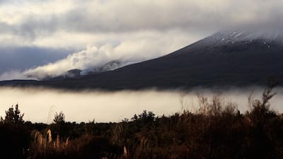 The UAE cricket team would have missed some of the more stunning sights in New Zealand, such as Mount Tongariro, having been flown around. Hagen Hopkins / Getty Images