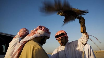 The UAE is leading the international effort to enshrine falconry in world cultural heritage. Lauren Lancaster / The National