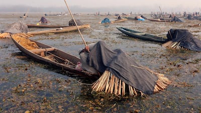 Fishermen cover their heads and part of their boats with blankets and straw as they wait to catch fish in the waters of the Anchar Lake on a cold winter day in Srinagar. Danish Ismail / Reuters