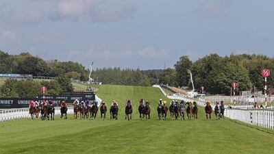Runners and riders in the Stewards' Cup during Day 5 of the Goodwood Festival in England, on Saturday August 1. PA