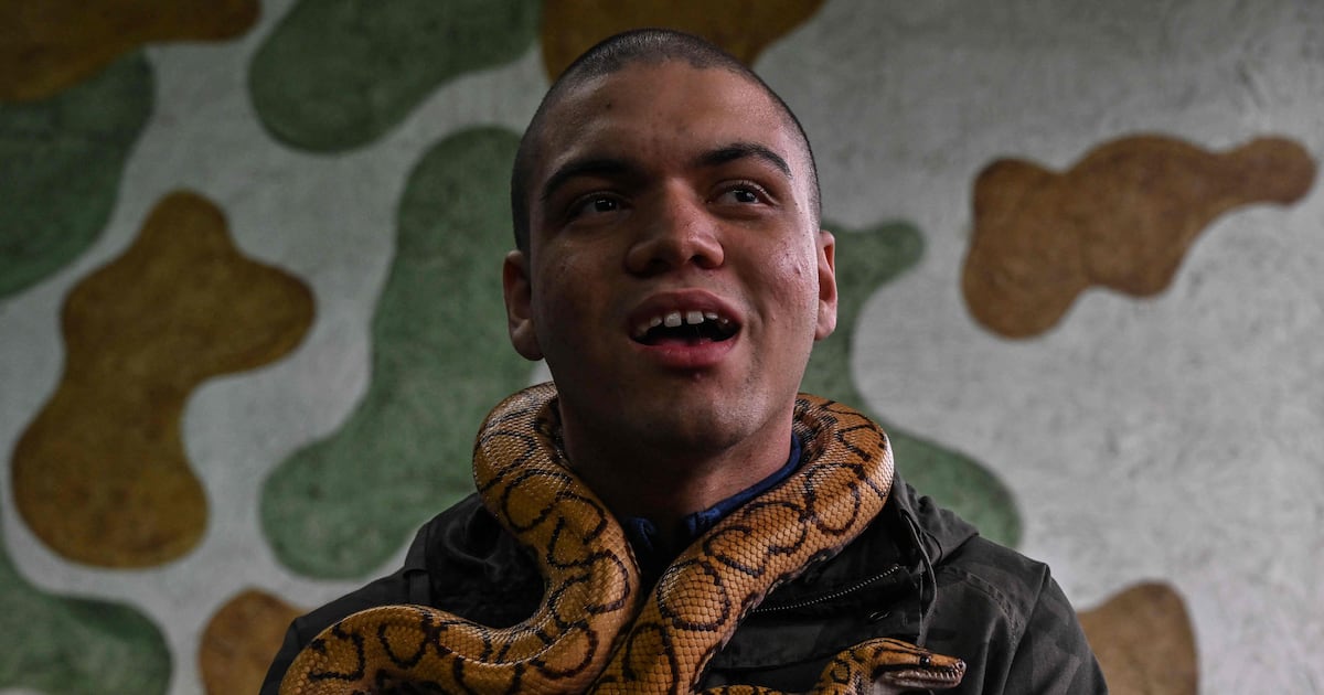 Snake Disability Snake therapy: How reptiles are helping patients with disabilities in ...