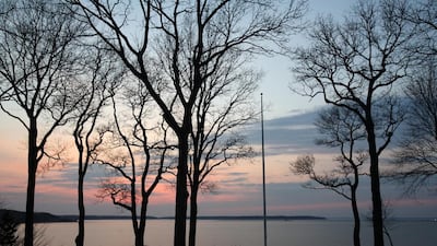 A quiet town in remote Long Island is the scene of several murders in Bollen’s gripping novel. Getty Images