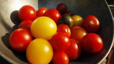 Tomatoes have come to symbolize happiness for Nouf Al-Qasimi.