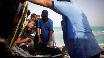 The Environmental Agency-Abu Dhabi empties a tank holding young fish to be released into the waters of Saadiyat Island.