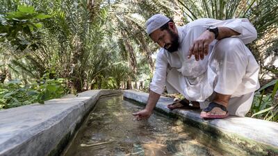 The falaj at Al Ain Oasis, UAE. Chris Whiteoak / The National