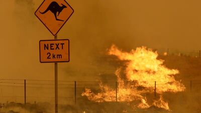 A fire burns in the grass near Bumbalong, south of the Australian capital, Canberra, February 1, 2020. AP Photo/Rick Rycroft, File