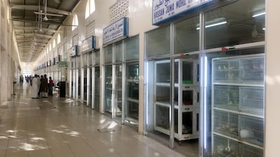 Shops selling pets line the market in Sharjah. Chris Whiteoak / The National