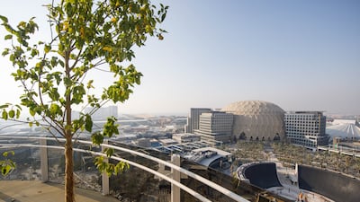 here are ten yellow flame trees planted on the upper floor which are accessible via rotating cabins from the ground floor or basement.