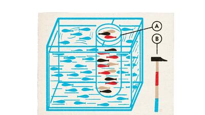 Illustration by Pep Montserrat