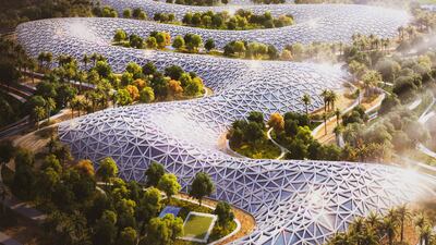 The Dubai Agri Hub will provide green job opportunities. Photo: URB