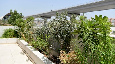 The balcony space facing the Dubai Metro is used for growing organic vegetables.
