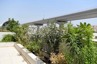 The balcony space is used for growing organic vegetables. Khushnum Bhandari / The National