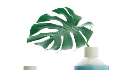 Courtesy of Crate & Barrel