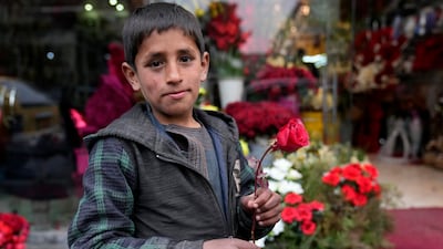 An Afghan boy in Kabul holds a red rose as he looks for money before Valentine's Day. AP