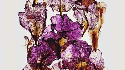 Anne et Patrick Poirier's 'Hommage à Blaschka - Iris Violet. Courtesy Galerie Mitterrand and Art Dubai