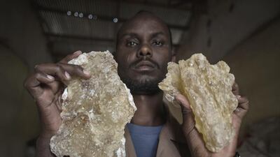 A man holds up two large tears of maydi, the large, most expensive chunks of frankincense resin, in Burao, Somaliland.