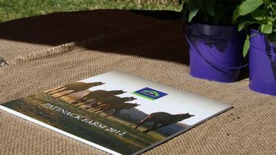 A brochure from Patinack Farm's stallion parade last summer - now the racing facility is up for sale.