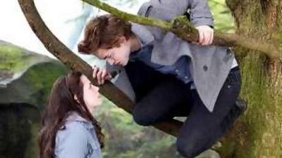 Chris Weitz will direct New Moon , the sequel to Twilight , starring Kristen Stewart and Robert Pattinson.