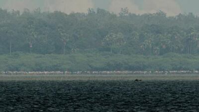 The PSLV-C25 launch vehicle, carrying the Mars Orbiter probe as its payload, lifts off from the Satish Dhawan Space Centre in Sriharikota. Seshadri Sukumar / AFP