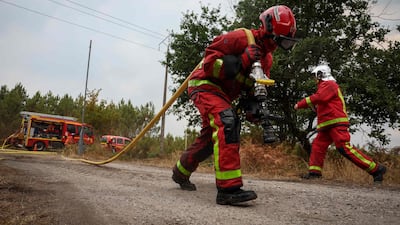 The Paris Fire Brigade in action at Marcheprime, west of Bordeaux. AFP