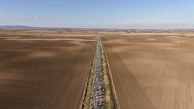 Students marching through farmland in Indjija, northern Serbia, to join a rally in Novi Sad marking the first anniversary of a train station disaster that killed 16 people. AP