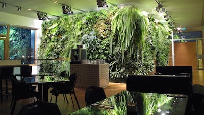 A project by Vertical Garden Design in Stockholm