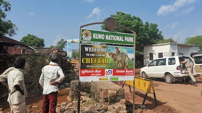 Villagers in Tiktoli, Madhya Pradesh, look at a sign advertising the Kuno National Park's new residents. Photo: Taniya Dutta / The National