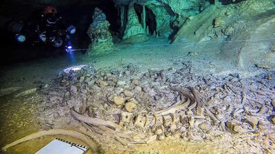 The Sac Actun underwater cave system is of immense cultural and scientific interest but is threatened by pollution. Great Mayan Aquifer Project-INAH via AP