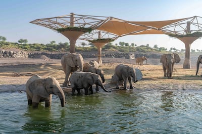 Sharjah Desert Safari opened in 2022. Photo: Wam