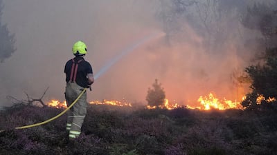 A firefighter tackling a blaze on at Dunwich Heath, eastern England. Up to 70 firefighters were working through the night as the flames spread. AFP