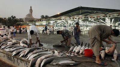 Shark fins are cut off in Dubai. From September certain species of sharks are to be released back into the water if caught. Kamran Jebreili / AP Photo