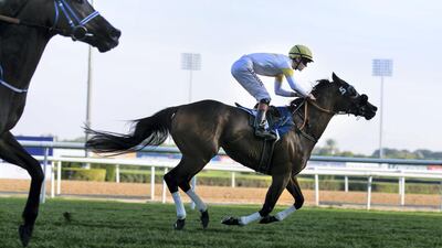 Sean Kirrane on Speedy Move wins the Emirates NBD Private Banking Thoroughbreds race at Meydan. Reem Mohammed / The National