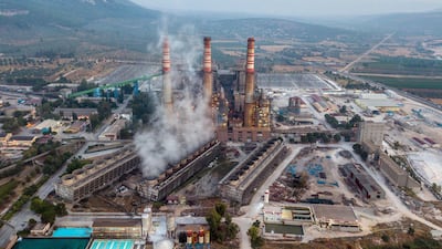 There is a struggle to save the Akbelen forest in Mugla province on the Aegean Sea. All Photos: AFP