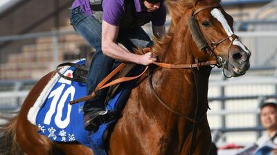 Ryan Moore riding Neorealism of Japan during a trackwork session at Sha Tin on Friday. Vince Caligiuri / Getty Images / December 9, 2016