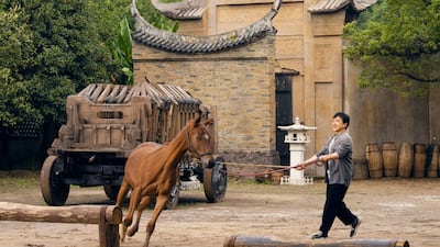 Jackie Chan plays Lao Luo, a stuntman who has spent eight years working with his trusted horse, Red Hare. All Photos: Well Go USA Entertainment