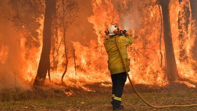 A firefighter conducts back-burning measures to secure residential areas from encroaching bushfires in the Central Coast, some 90-110 kilometres north of Sydney. AFP